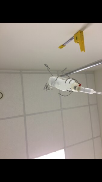 Bild zu 