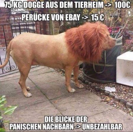 Bild zu Weil ich es so mag - Forum für November - Mamis