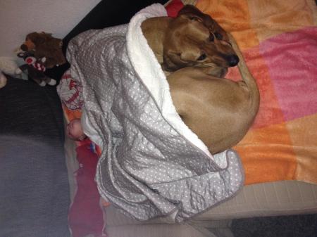 Bild zu