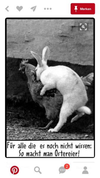Bild zu Frohe Ostern - Forum für November - Mamis