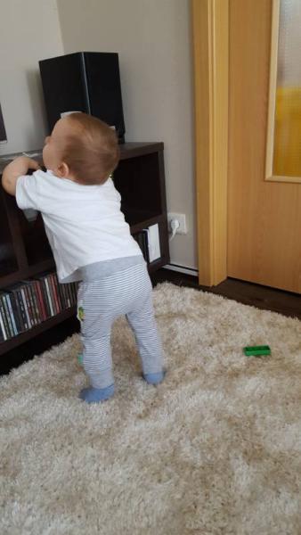 Bild zu