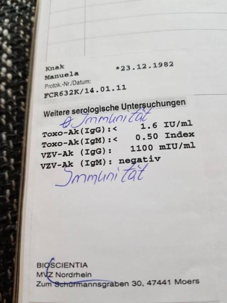 Bild zu Toxoplasmose - Forum für November - Mamis