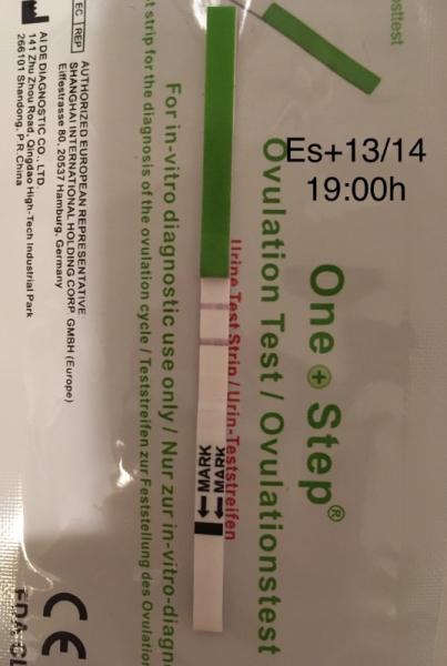 Bild zu Ob ich wohl mitfahren darf? - Forum für November - Mamis
