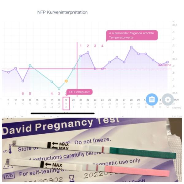 Bild zu ES+14 | NMT pos Ovu - negativer SST ?! - Forum für November - Mamis