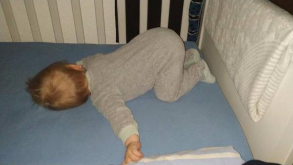 Bild zu