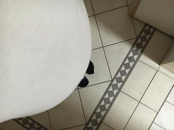 Bild zu ~*MurmelMittwoch*~ - Forum für November - Mamis