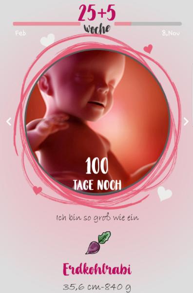 Bild zu 100 Tage noch und morgen schon ein Uhu ;-) - Forum für November - Mamis
