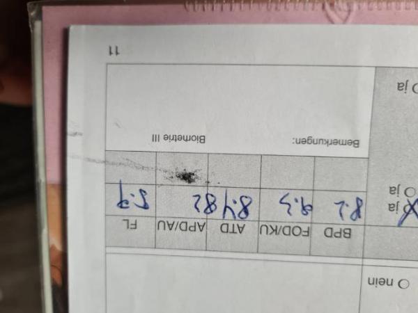 Bild zu 
