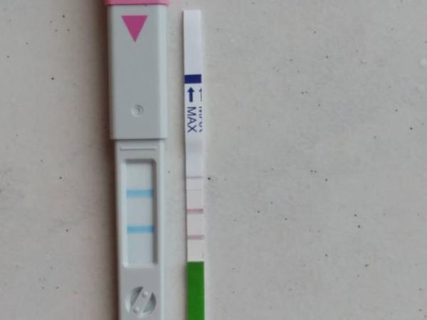 Bild zu Ovu positiv - Forum für November - Mamis