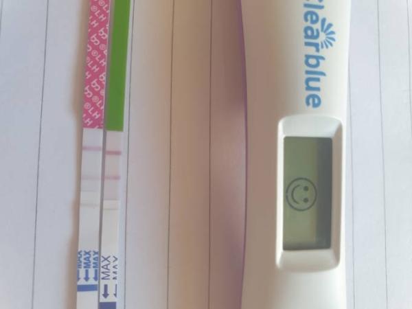 Bild zu EISPRUNG ? - Forum für November - Mamis