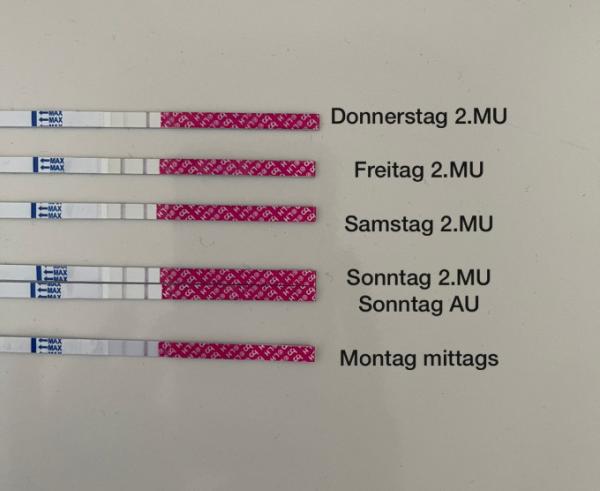 Bild zu War der ES sm Wochenende? - Forum für November - Mamis