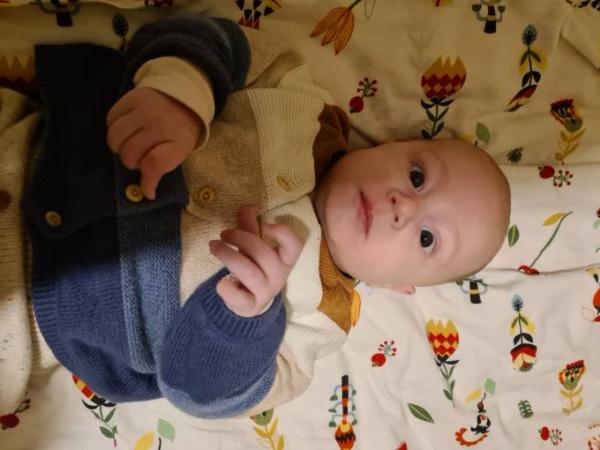 Bild zu