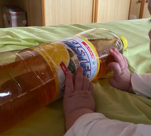 Bild zu