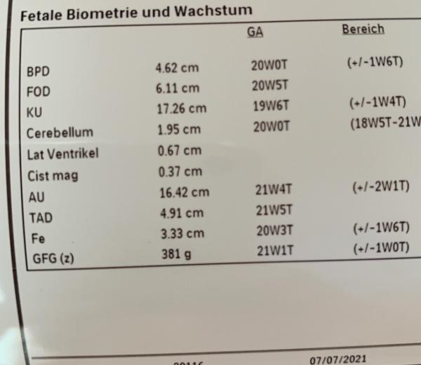 Bild zu Gestern Organscreening - Forum für November - Mamis