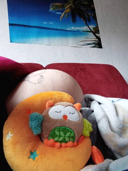 Bild zu 