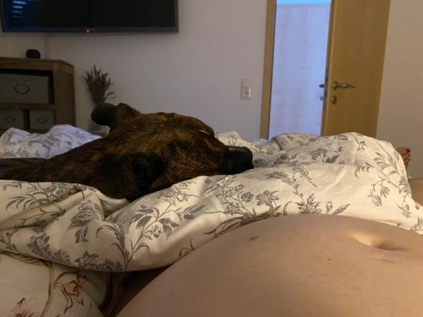 Bild zu ☀️ Murmel Mittwoch ☀️ - Forum für November - Mamis