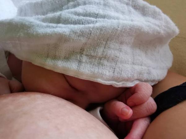 Bild zu 