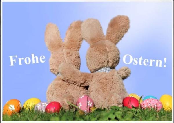 Bild zu 