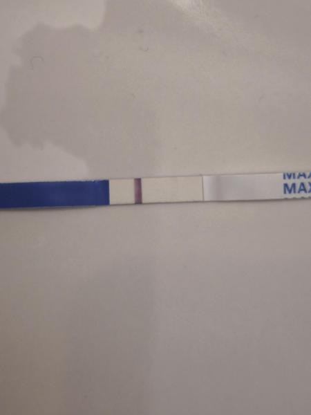 Bild zu Schwangerschaftstest - Forum für November - Mamis