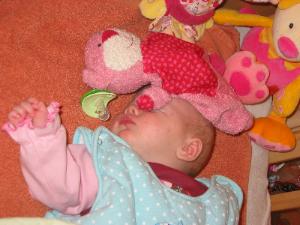 Bild zu 