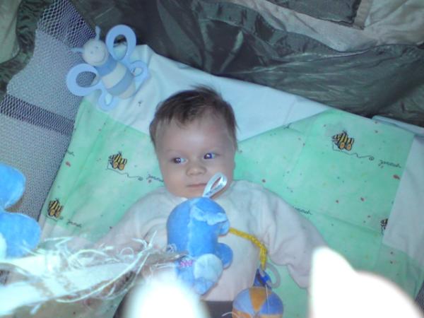Bild zu 