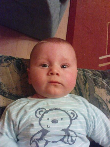 Bild zu