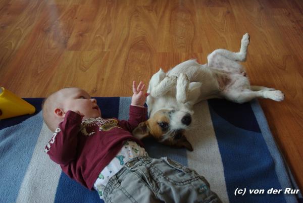 Bild zu