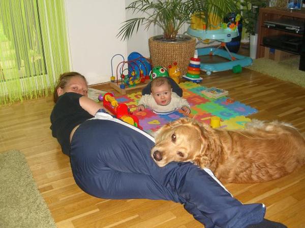 Bild zu