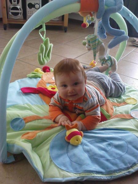 Bild zu