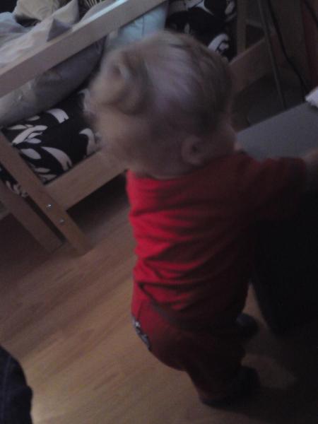 Bild zu 