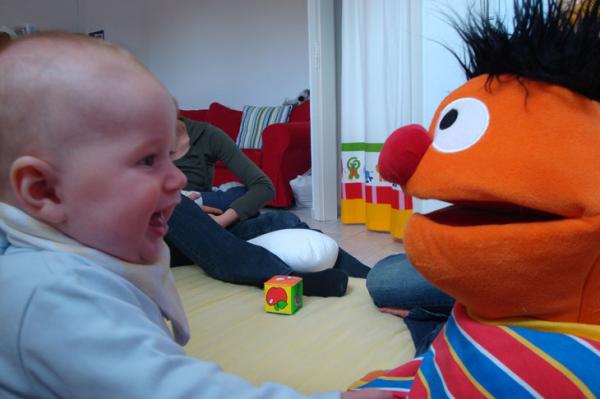 Bild zu