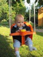 Bild zu 