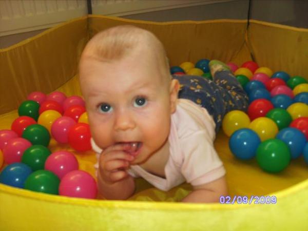 Bild zu 