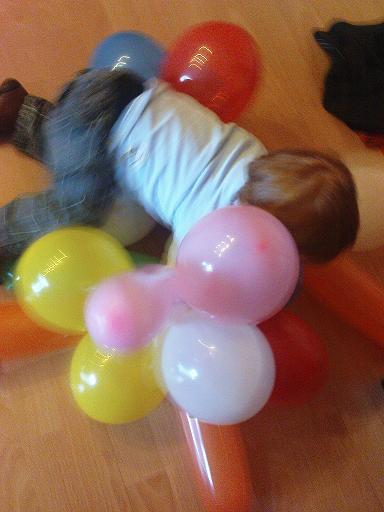 Bild zu