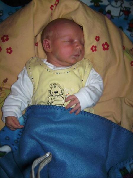 Bild zu