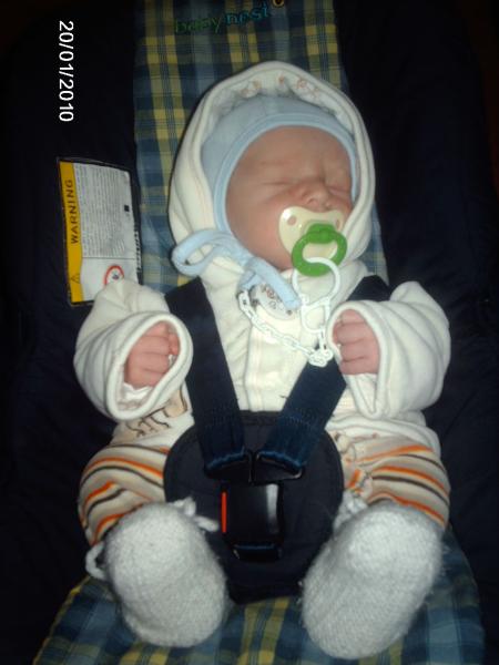 Bild zu