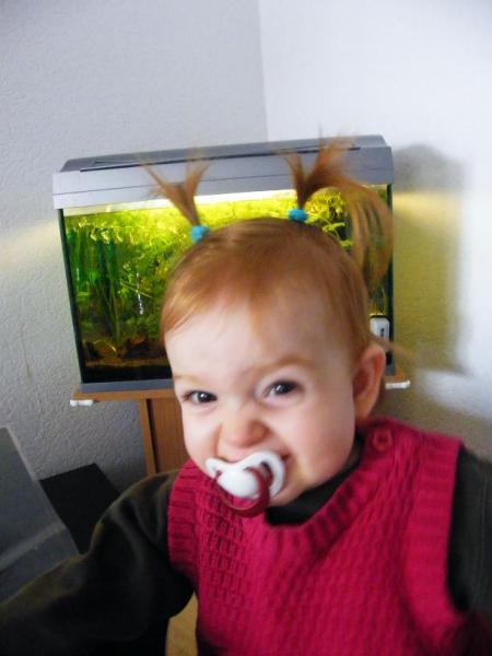 Bild zu Alaaaaaaaaaaaaaaaf! - Forum für Dezember - Mamis