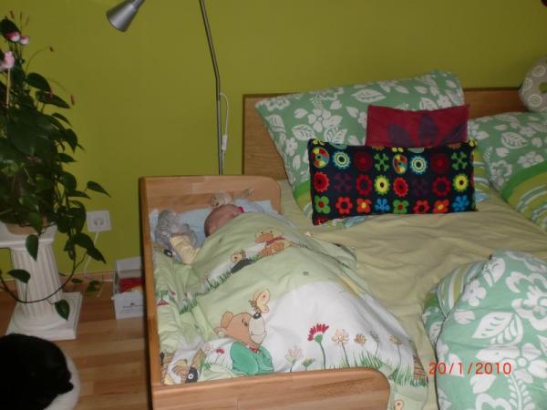 Bild zu 