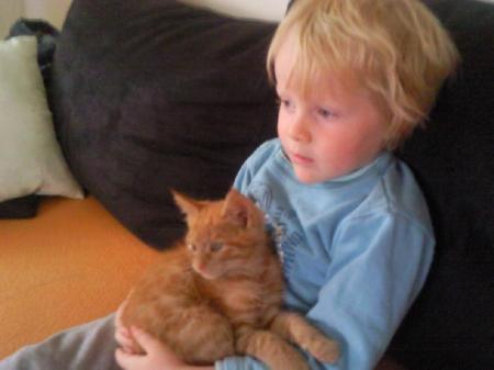 Bild zu 
