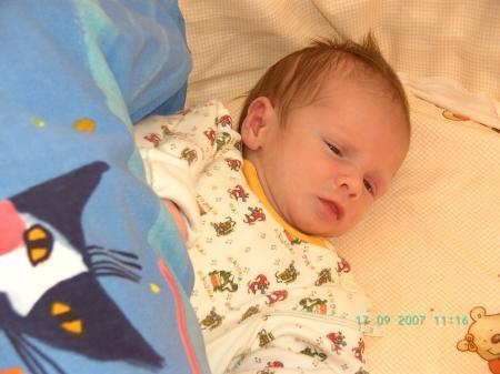 Bild zu