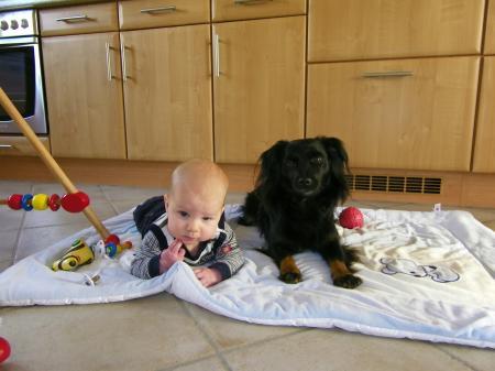 Bild zu 
