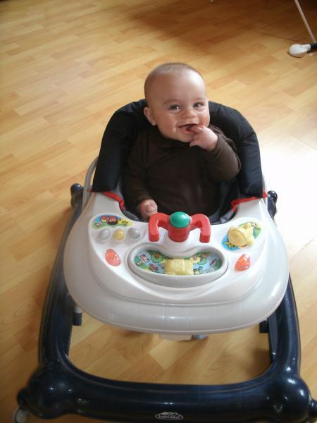 Bild zu 