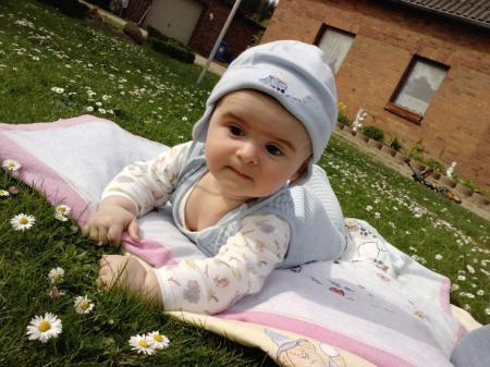 Bild zu 