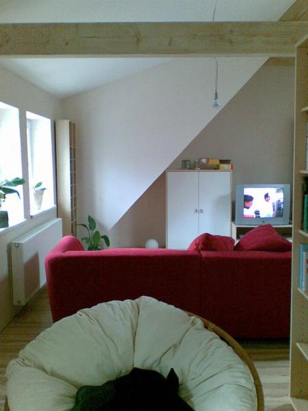 Bild zu 