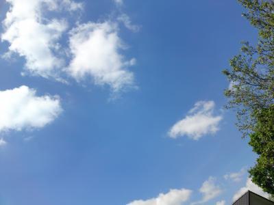 Bild zu Hier ein Bild...vom Sommer heute :-) - Forum für Dezember - Mamis