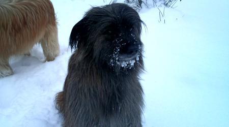 Bild zu 