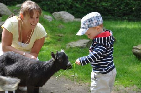 Bild zu