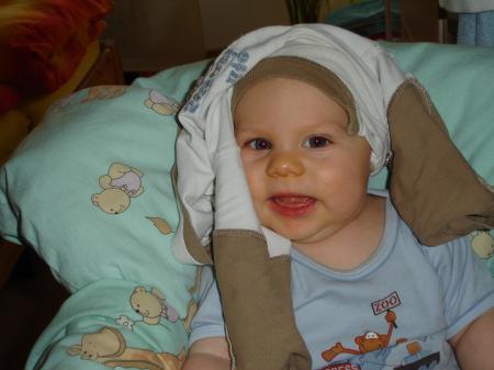 Bild zu 