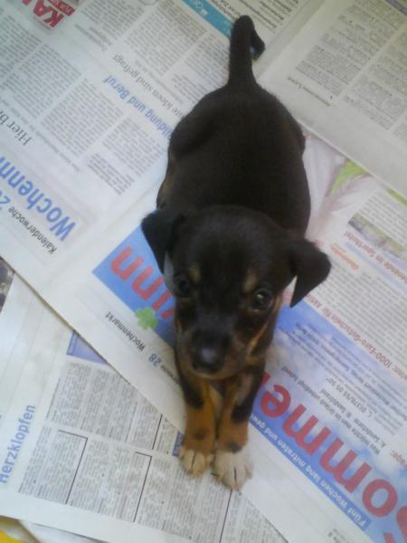 Bild zu 