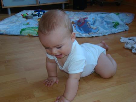 Bild zu 